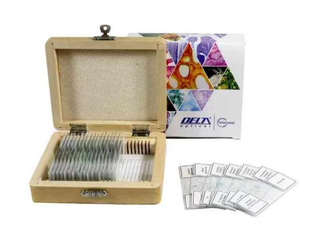 Zdjęcie produktu Zestaw preparatów do obserwacji pod mikroskopem 25 szt. (DO-4100)