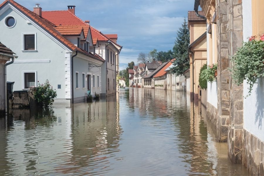 Poradnik Kryzysowy